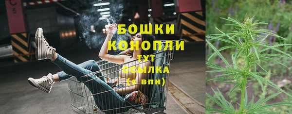 эйфоретик Нея