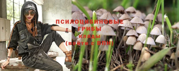 эйфоретик Нея