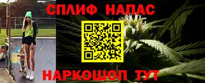 сатива Гай