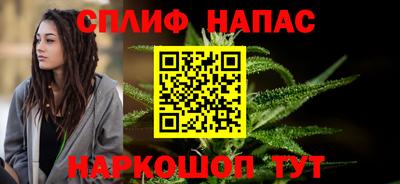 сатива Гай