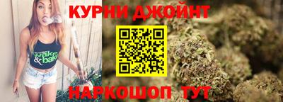 сатива Гай