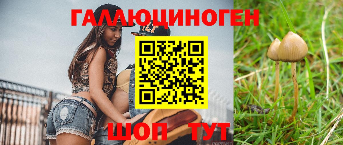 Псилоцибиновые грибы MAGIC MUSHROOMS  закладка  Качканар  Вход с VPN  Псилоцибиновые грибы мухоморы 